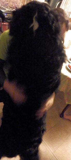 022_20121224221707.jpg