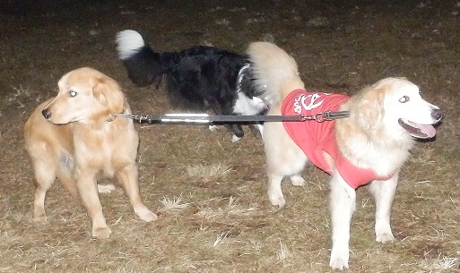 023_20121122204037.jpg