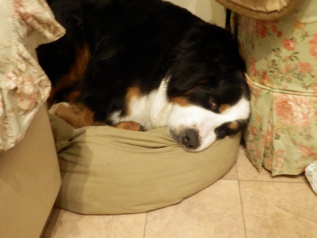 023_20121230224606.jpg