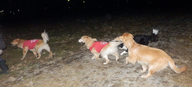 024_20121122204053.jpg