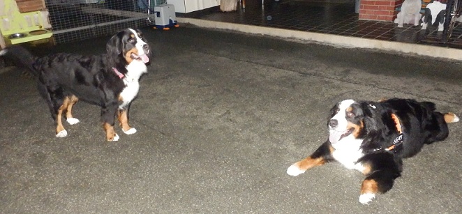024_20121215220235.jpg