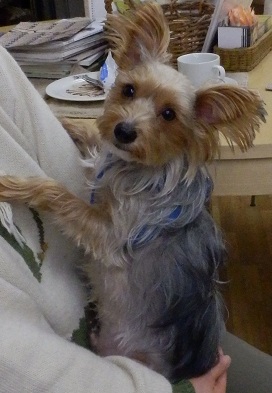 024_20130106173046.jpg