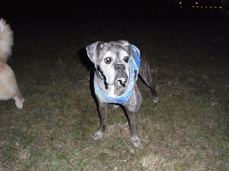 025_20121031203429.jpg
