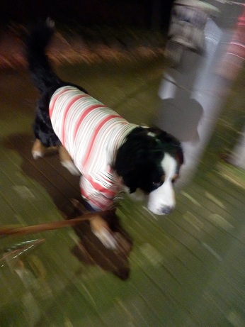 026_20121220204004.jpg