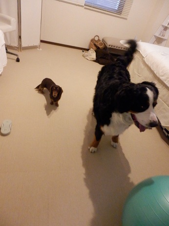 026_20130109221502.jpg