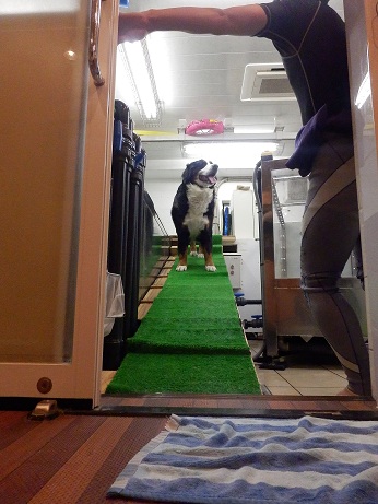 027_20121217221935.jpg