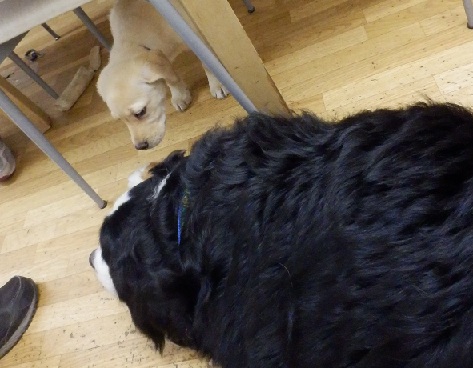 027_20130113232209.jpg