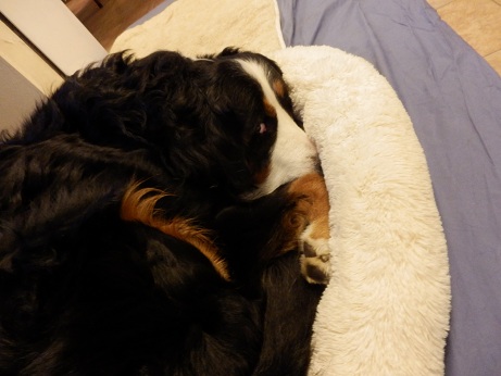 029_20130105185621.jpg