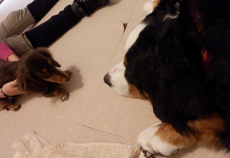030_20121217221946.jpg