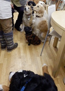 030_20121228001425.jpg