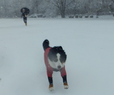 030_20130114173624.jpg