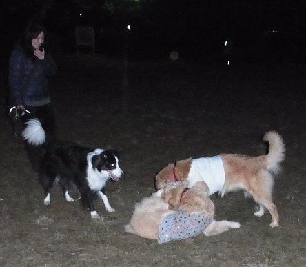 031_20121113204237.jpg