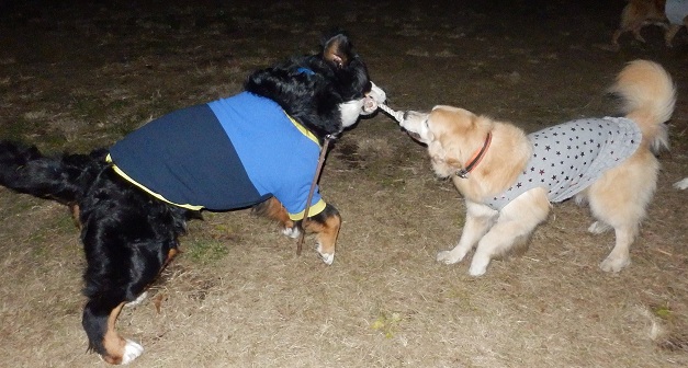 031_20121129203255.jpg