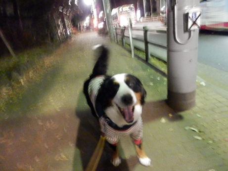 031_20121226193124.jpg