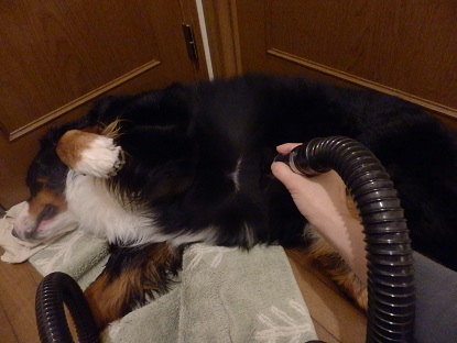 033_20121125213430.jpg