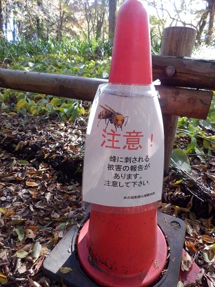 033_20121127162518.jpg