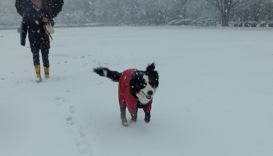 034_20130114173650.jpg