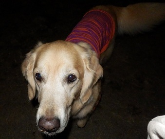 035_20121220204233.jpg