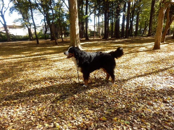 036_20121127162533.jpg