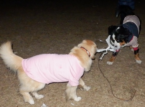 036_20121219213005.jpg