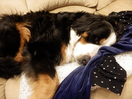 036_20130111202014.jpg