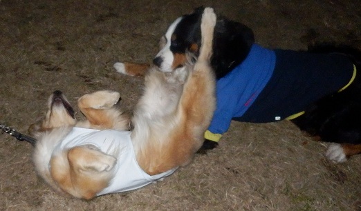 037_20121129203330.jpg