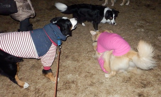 037_20130109221608.jpg