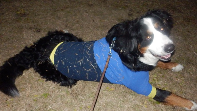 043_20121129203411.jpg