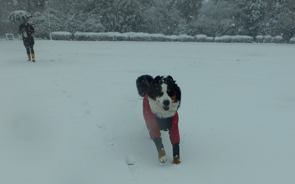 044_20130114173735.jpg