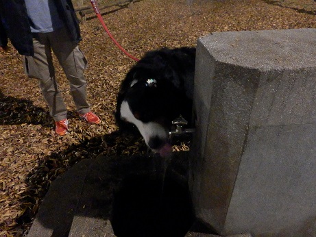 045_20121215220331.jpg