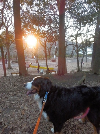046_20121231202308.jpg