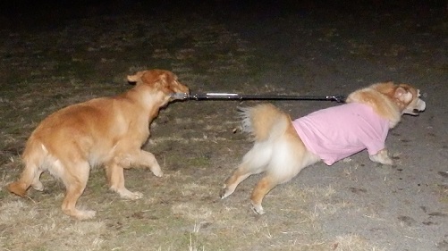 048_20121127195631.jpg
