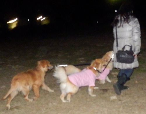 049_20121127195646.jpg
