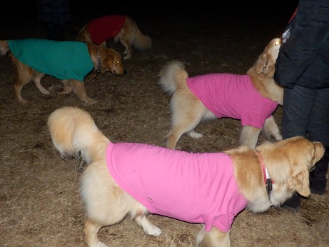 050_20130109221539.jpg