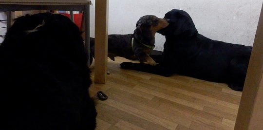 053_20130106173347.jpg