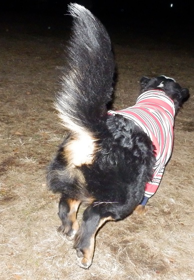 054_20121207204005.jpg