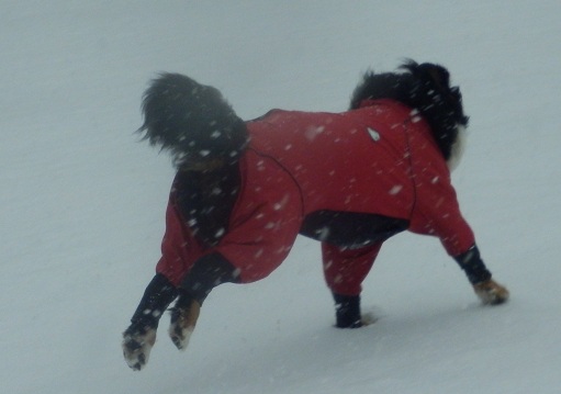 056_20130114173837.jpg