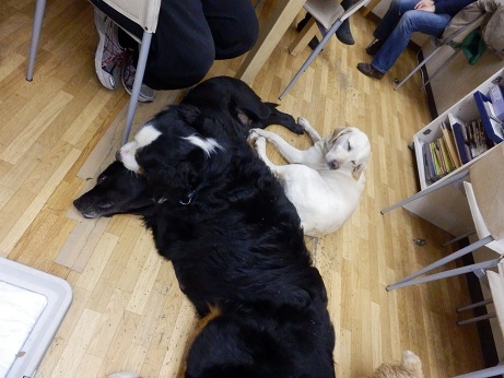 059_20130104200443.jpg