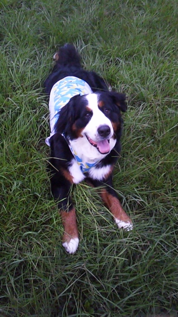 120808_050925.jpg