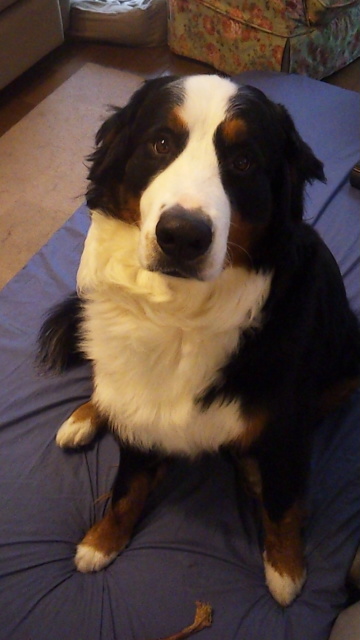 121007_130115.jpg