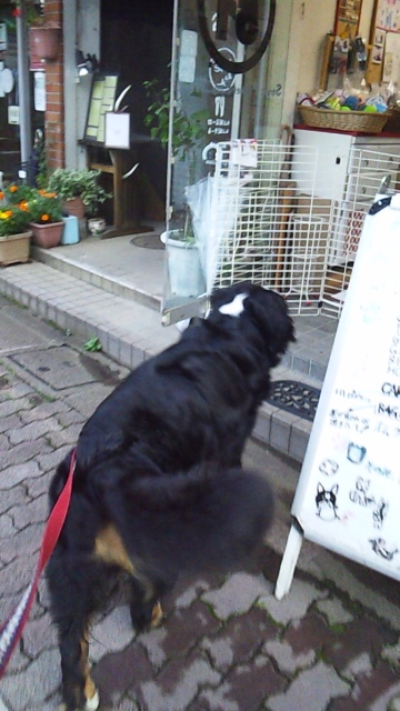 121007_162941.jpg