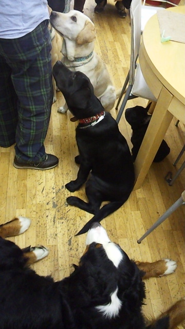 121007_165407.jpg