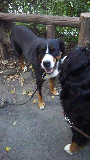 121027_161441.jpg