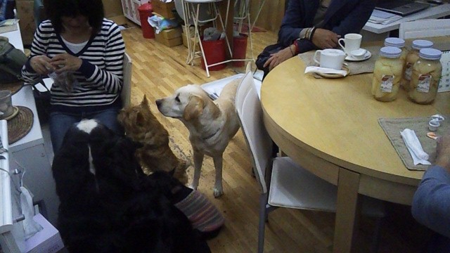 121027_185316.jpg