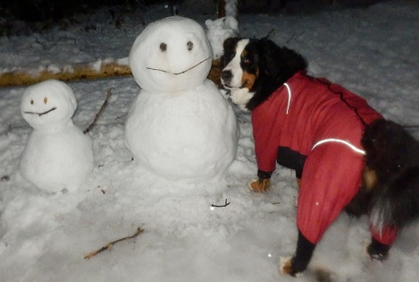 142_20130114174227.jpg