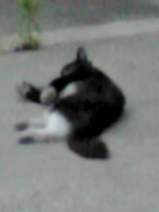 20120528190529.jpg
