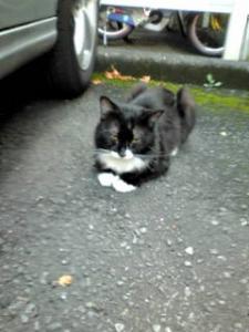 20120824144028.jpg