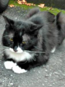 20120824144101.jpg
