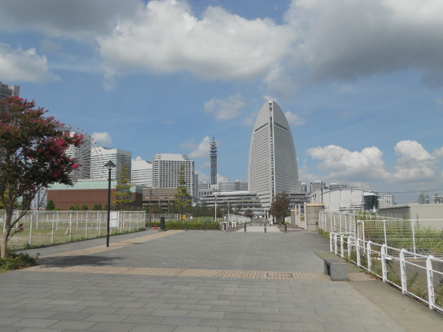 DSCN0658.jpg