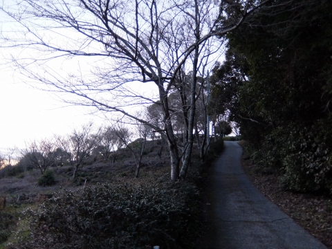 DSCF0475A.jpg